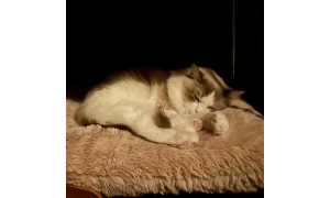 プロフィール(クリック＆スクロール）